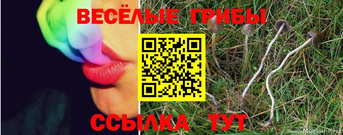 Псилоцибиновые грибы GOLDEN TEACHER Надым