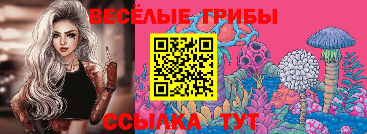 Галлюциногенные грибы мухоморы  Галлюциногенные грибы Cubensis  Надым  дарнет шоп  Вход с VPN 